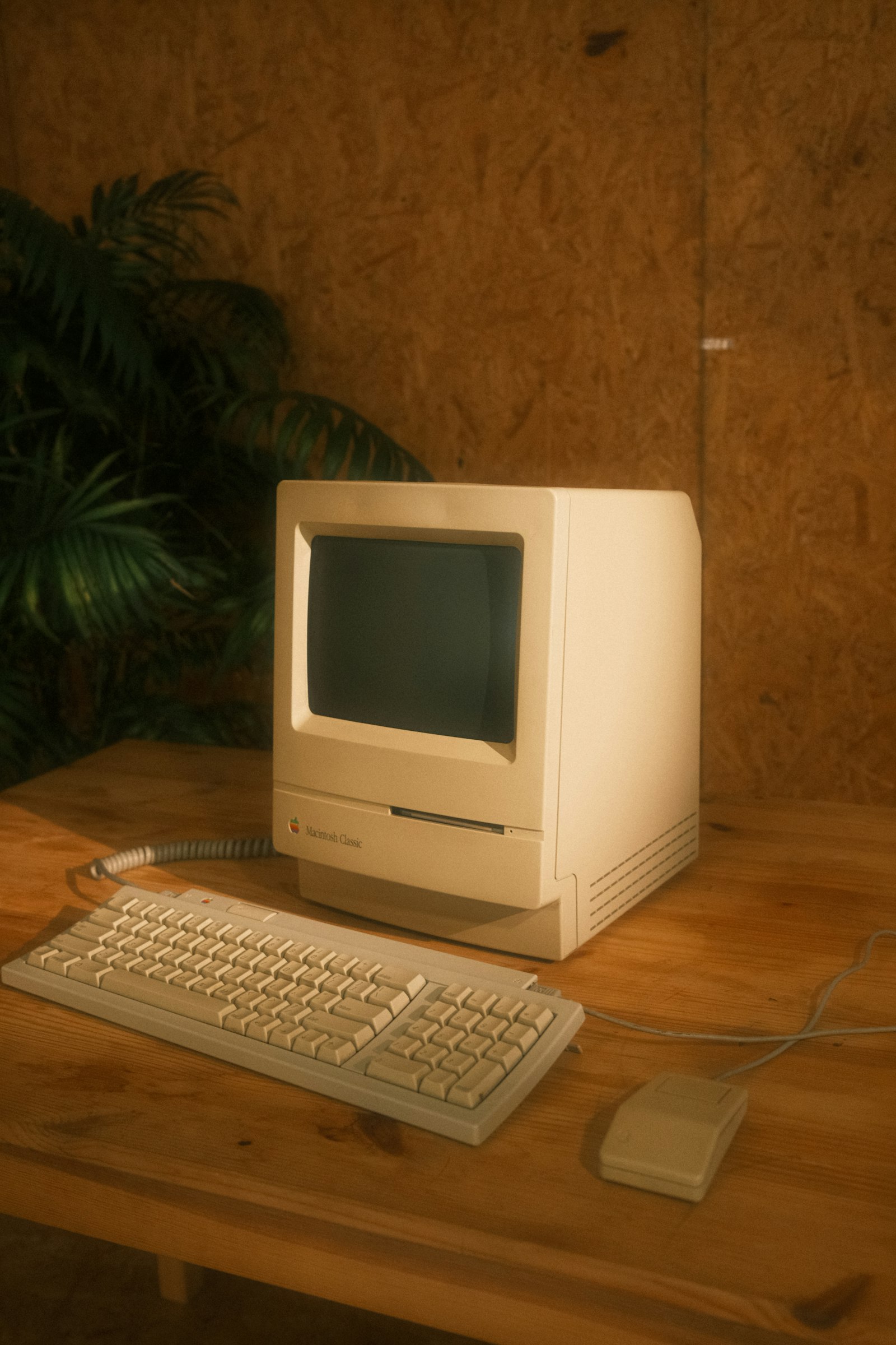 How Microsoft Bought an Operating System for $50,000 and Built a Trillion-Dollar Empire on It