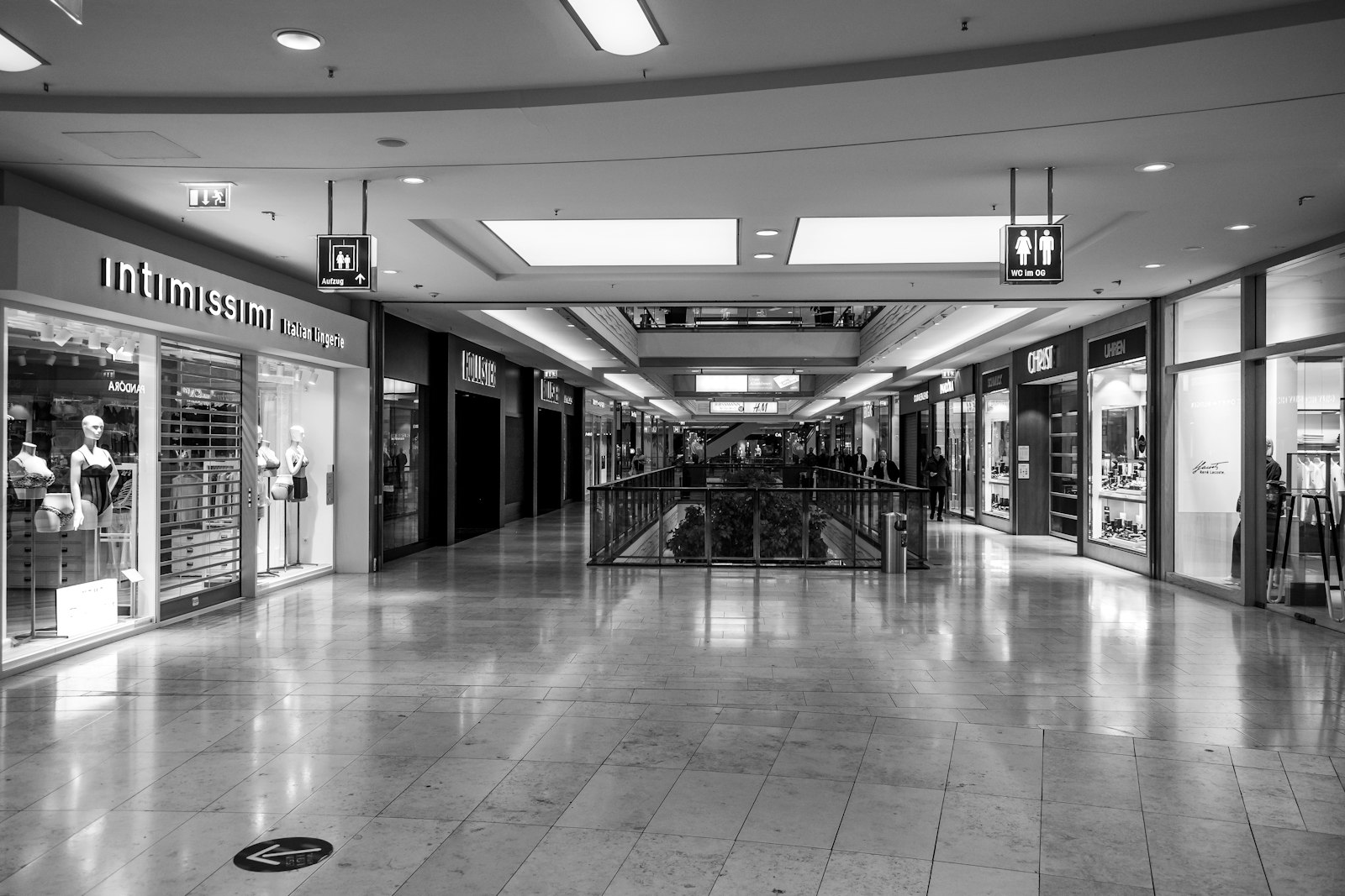 Sears Roebuck: The Amazon of 1900 That Took 130 Years to Die
